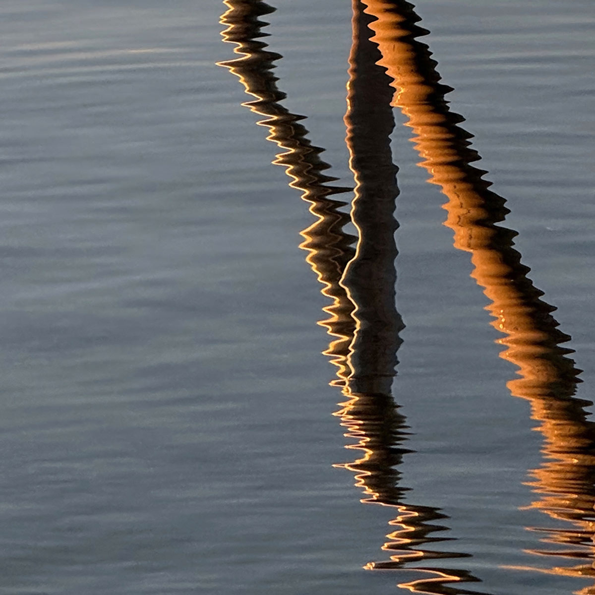 Stacks Image 1571