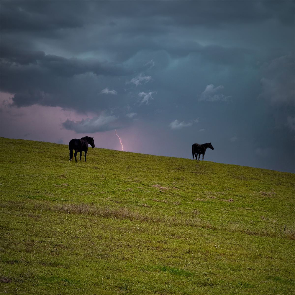 Stacks Image 1525