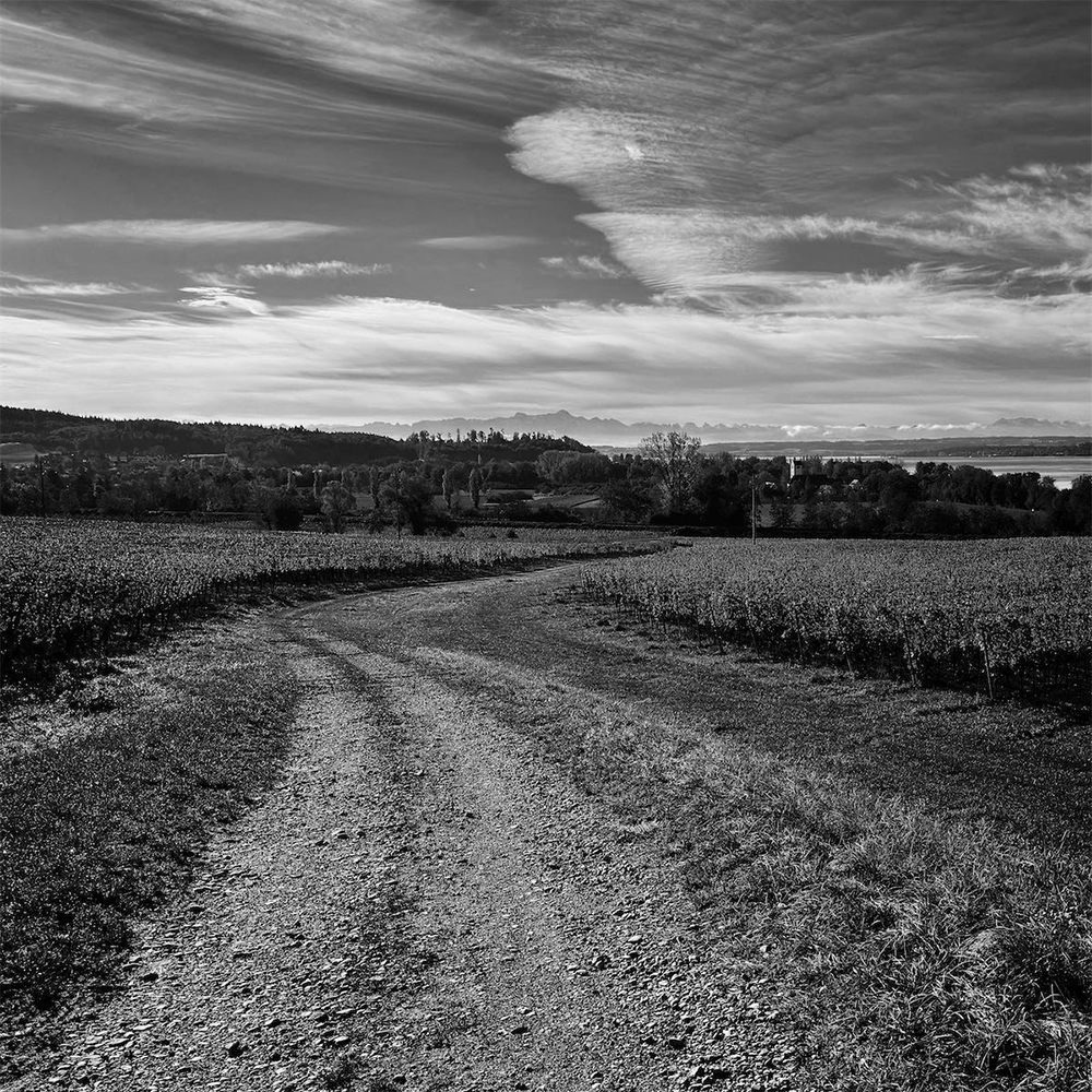 Stacks Image 1562