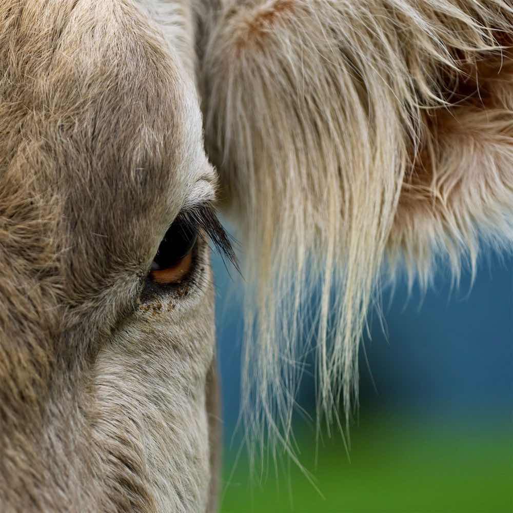 Borgemeister_Fotografie_Content21