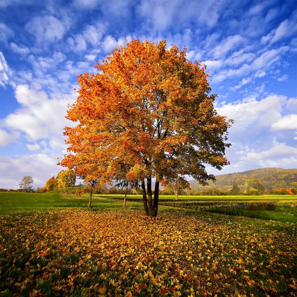 Borgemeister_Fotografie_Content41