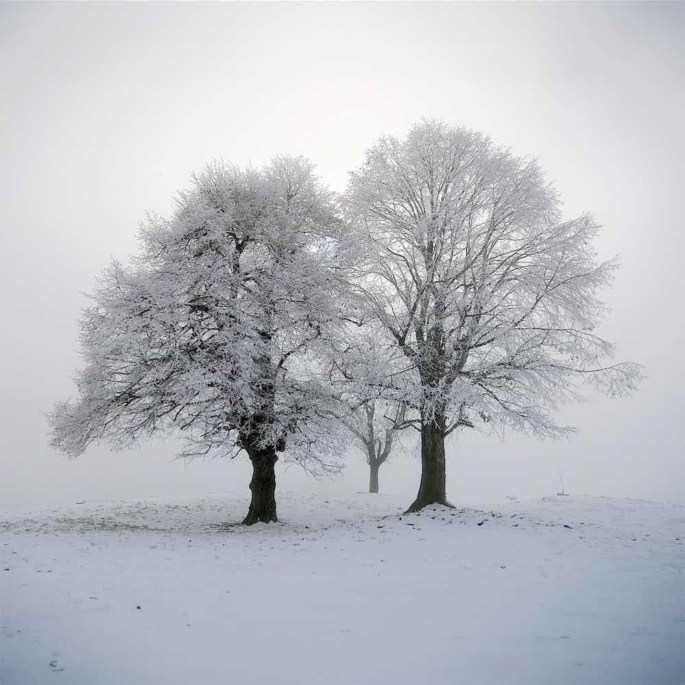 Borgemeister_Fotografie_Content45