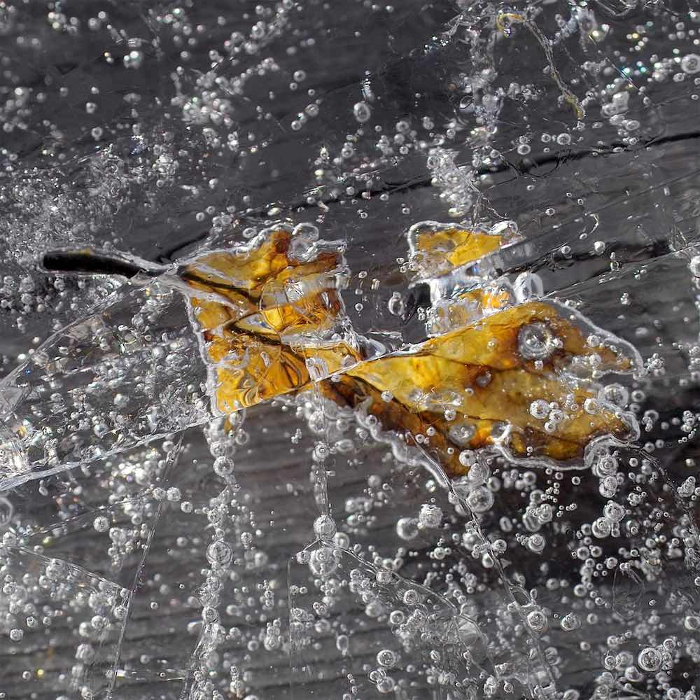 Borgemeister_Fotografie_Content46