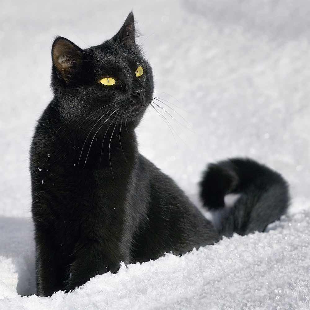 Borgemeister_Fotografie_Content47