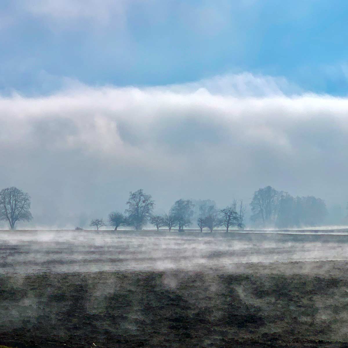 Borgemeister_Fotografie_Content48