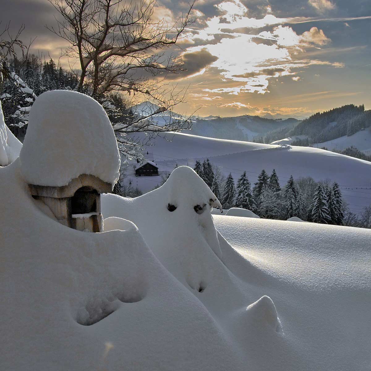 Borgemeister_Fotografie_Content54