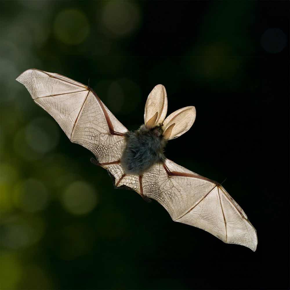 Borgemeister_Fotografie_Content56