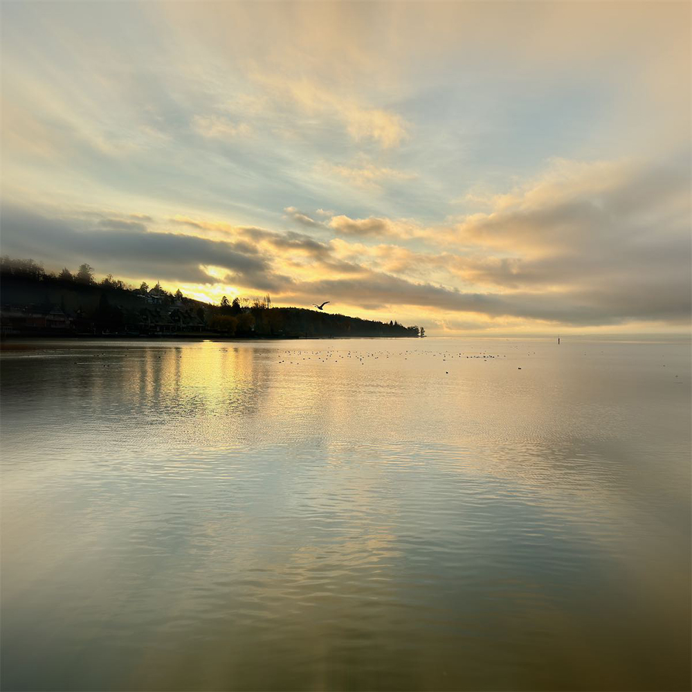 Borgemeister_Fotografie_Content60