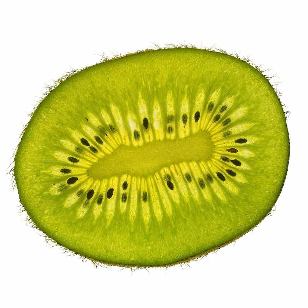 Borgemeister_Fotografie_Content61