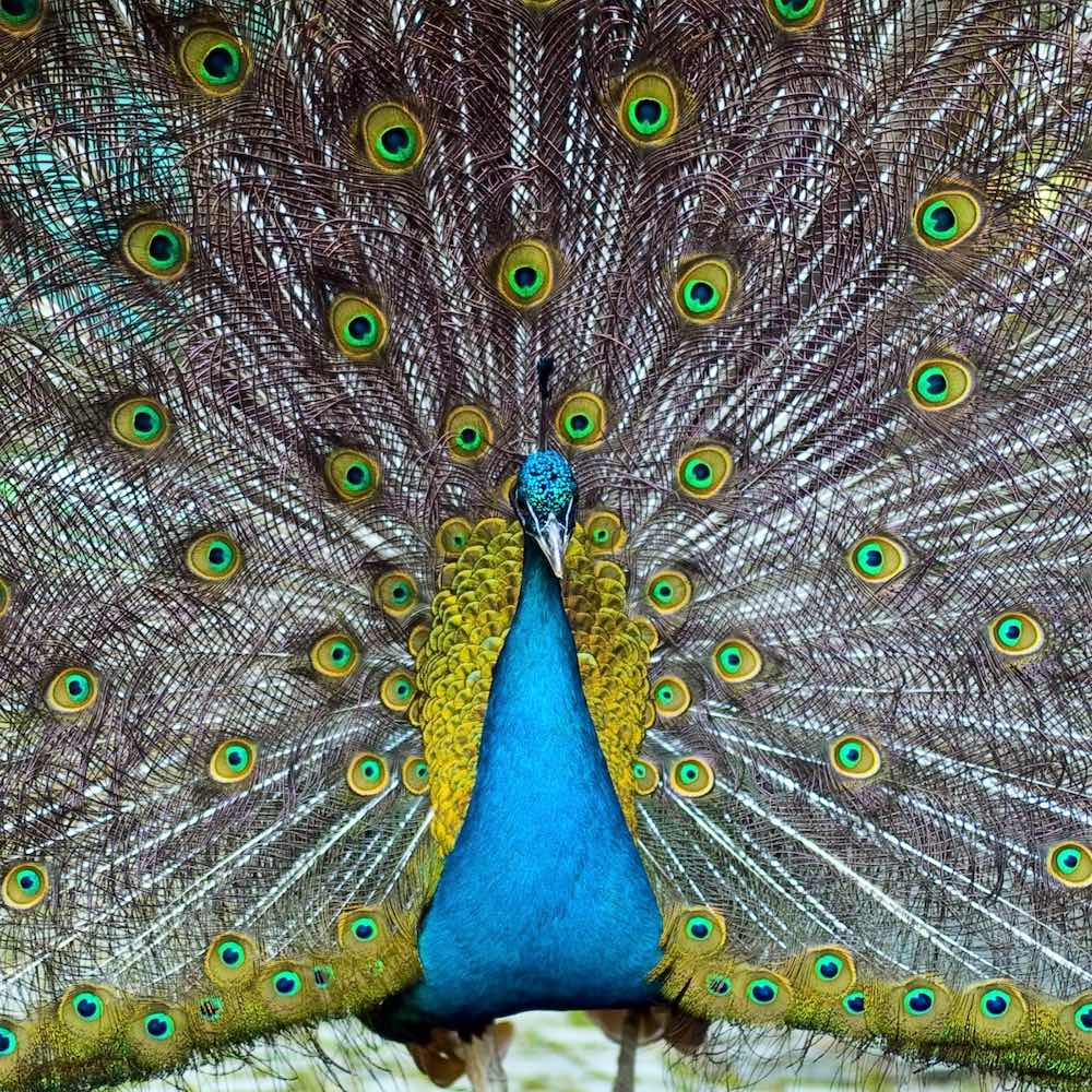 Borgemeister_Fotografie_Content62