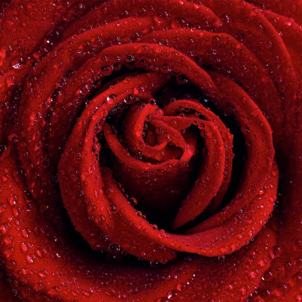 Borgemeister_Fotografie_Content75