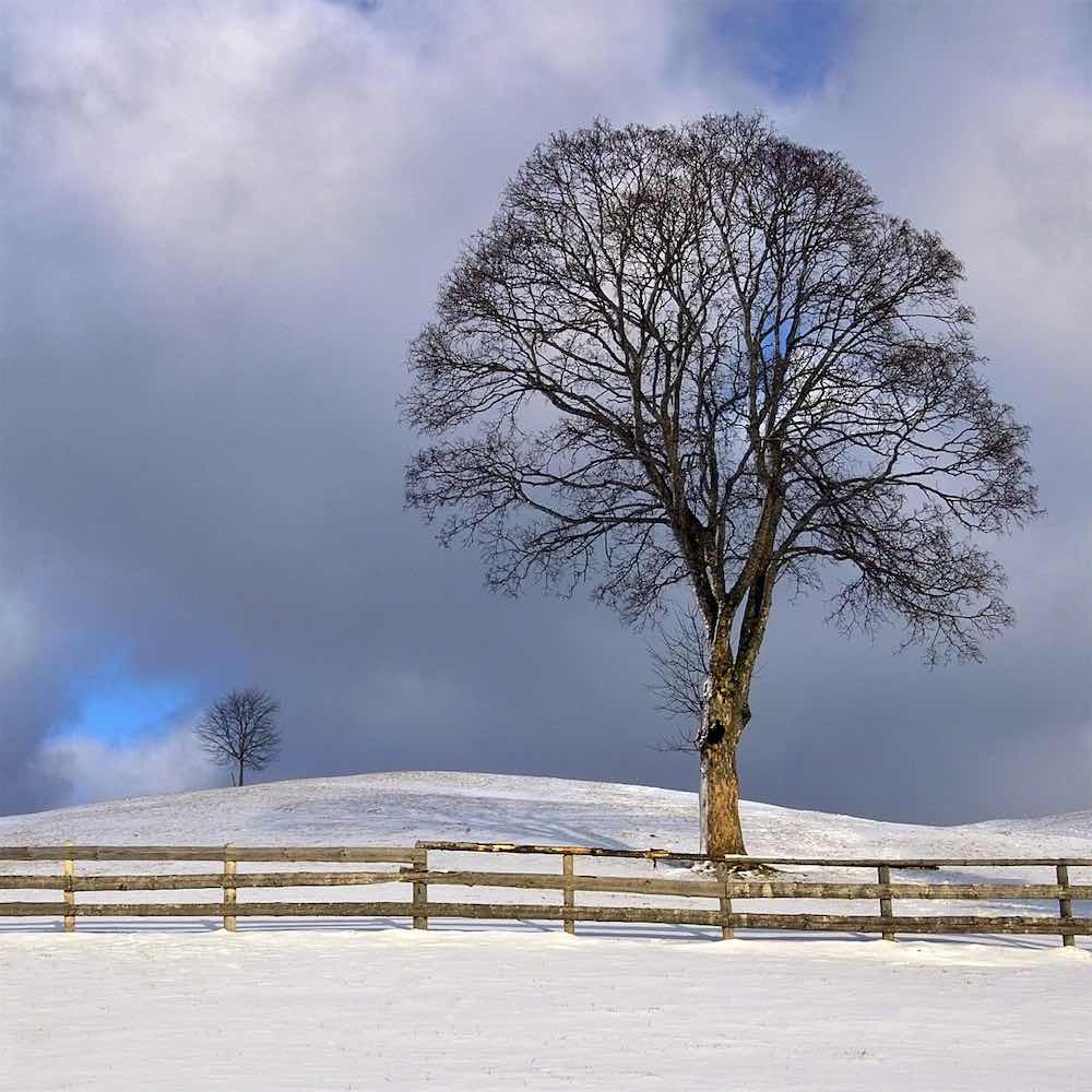 Borgemeister_Fotografie_Content8