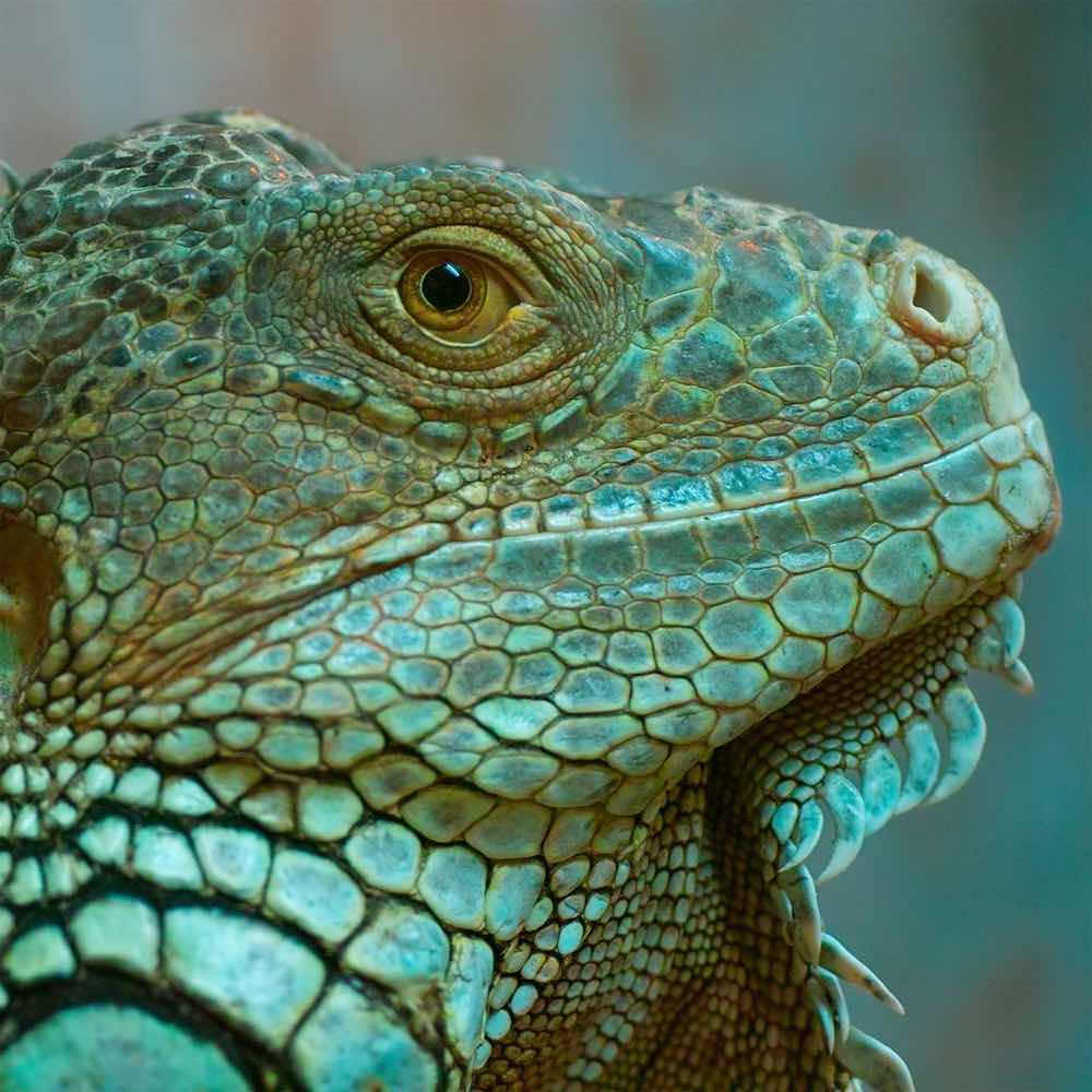 Borgemeister_Fotografie_Content9